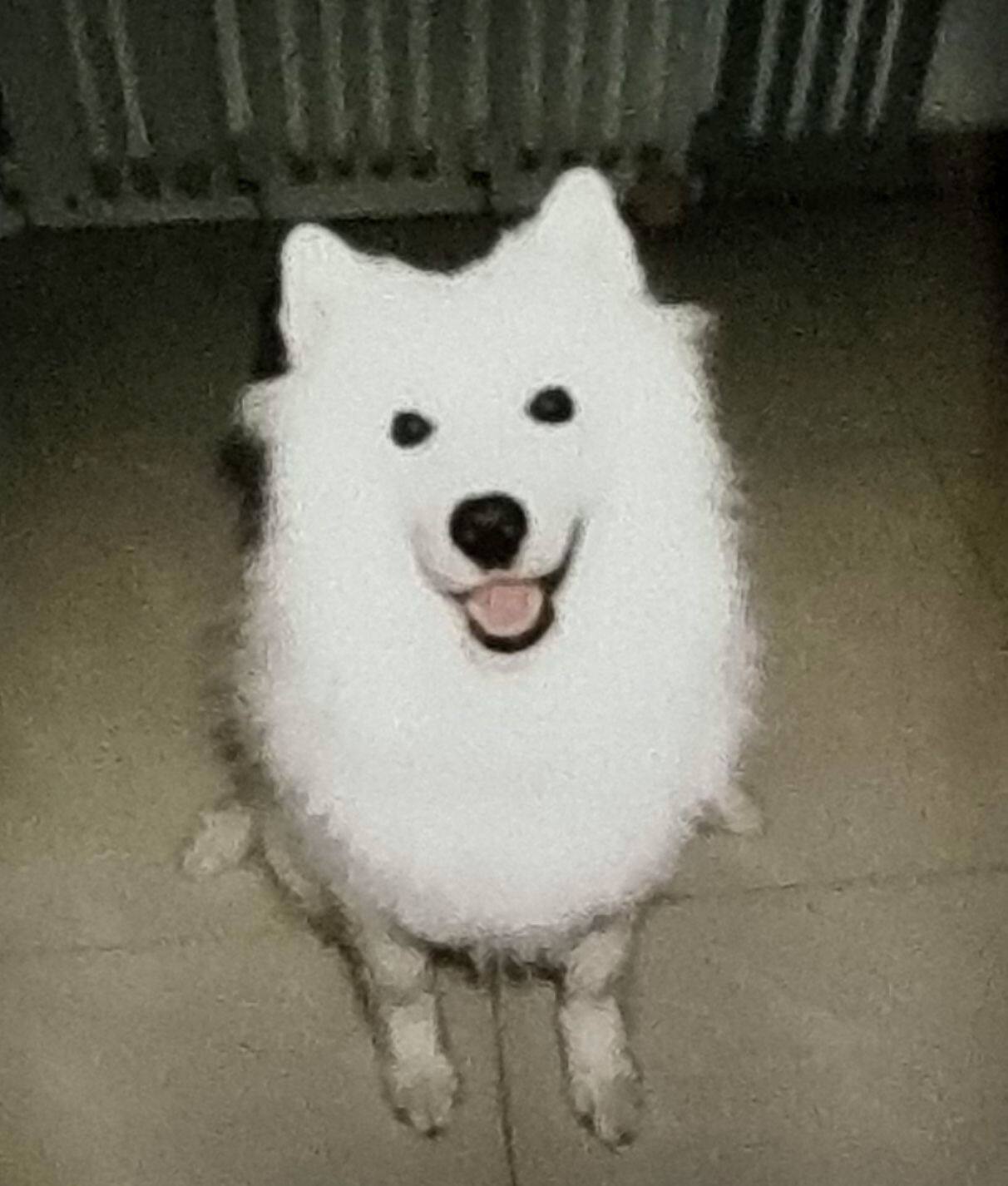 头像