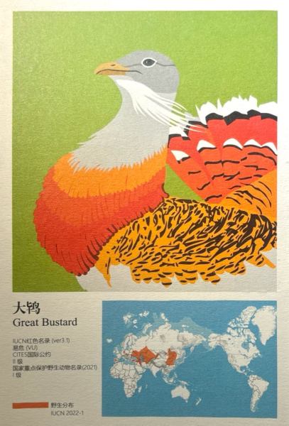 明信片照片