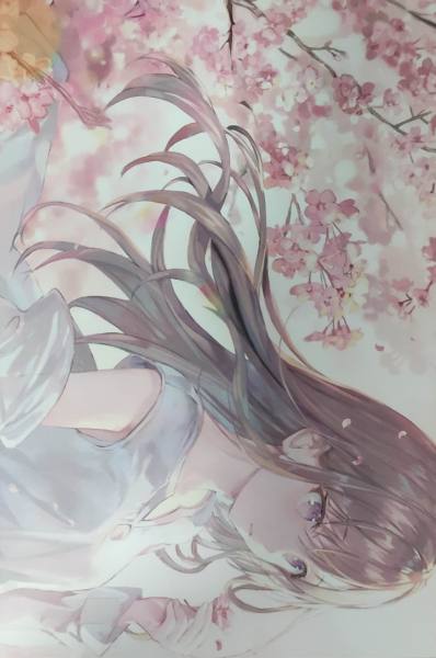 明信片照片