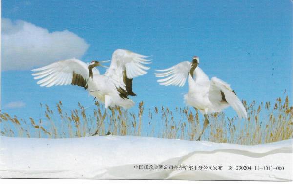 明信片照片