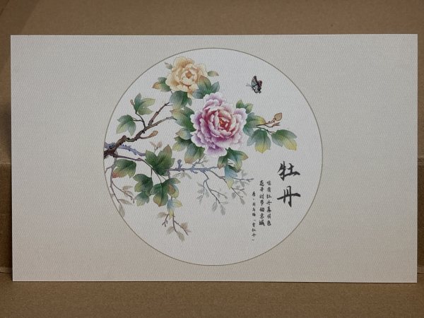 明信片照片