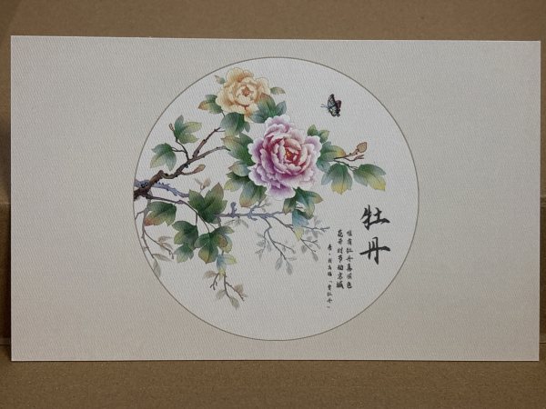 明信片照片