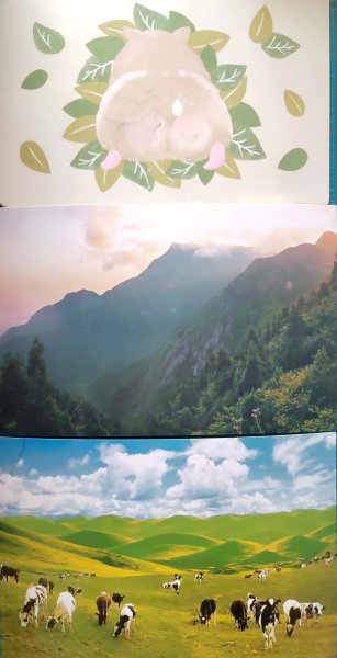 明信片照片