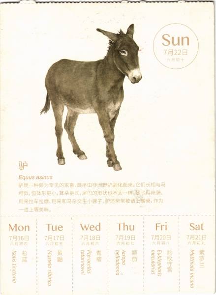 明信片照片