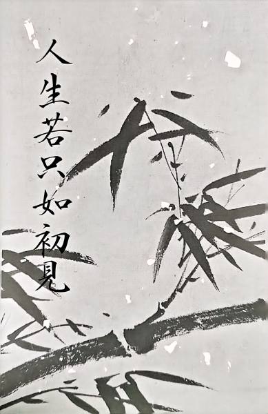 明信片照片