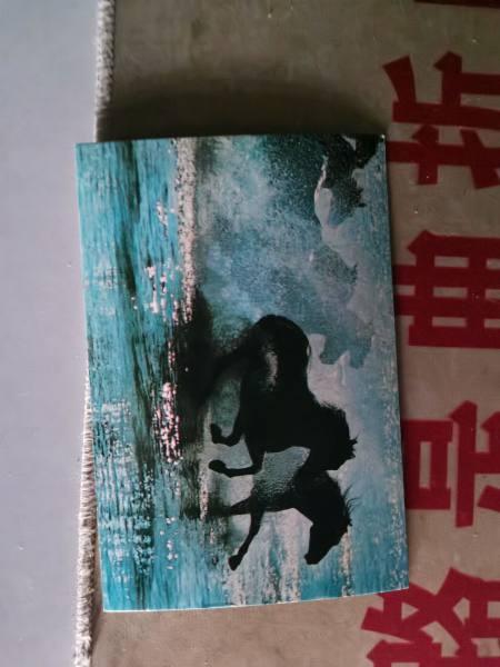 明信片照片