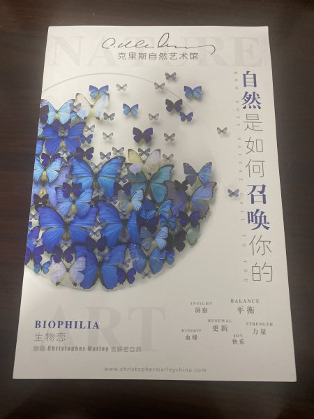 明信片照片