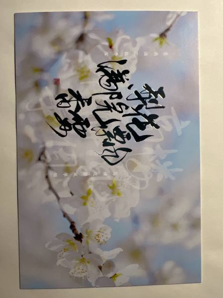 明信片照片