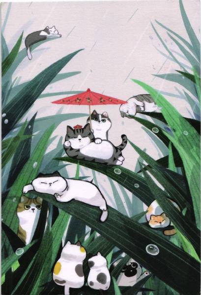 明信片照片