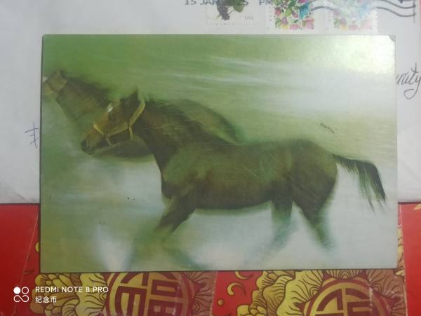 明信片照片