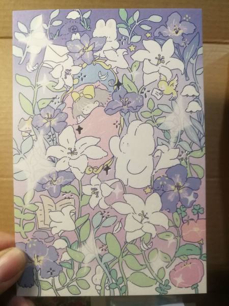 明信片照片