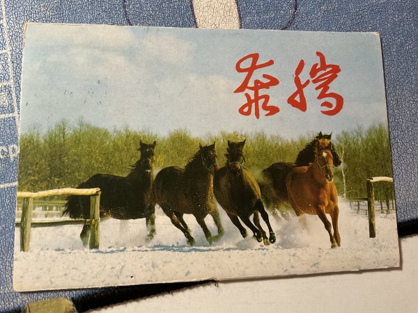 明信片照片