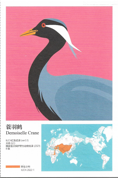 明信片照片