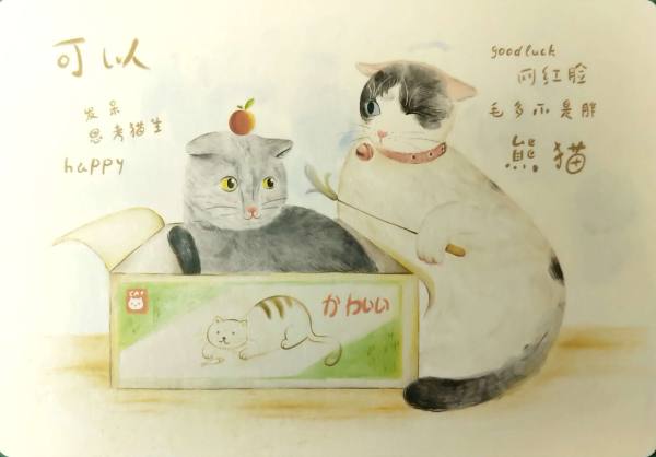 明信片照片