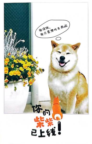明信片照片