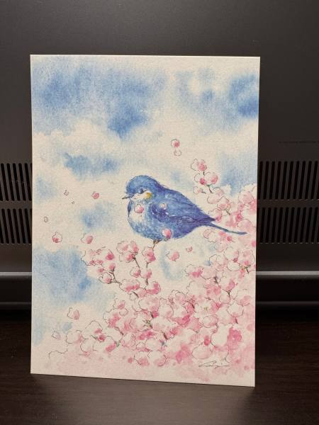 明信片照片
