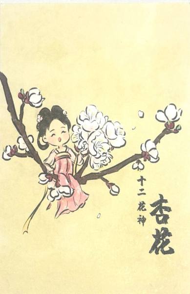 明信片照片