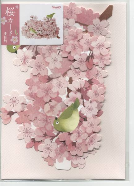 明信片照片