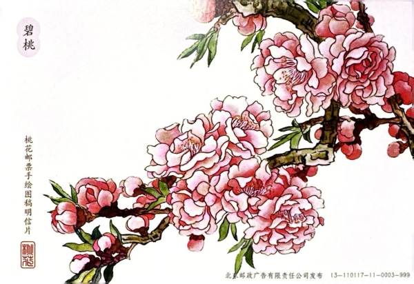 明信片照片