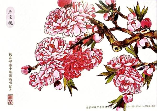 明信片照片