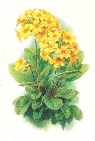 明信片照片