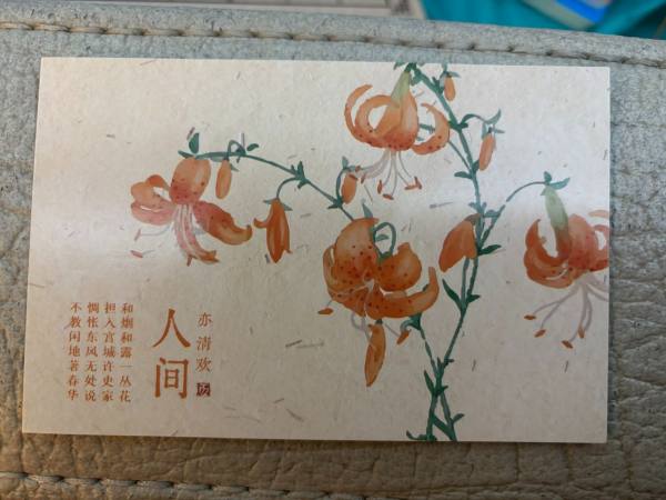 明信片照片