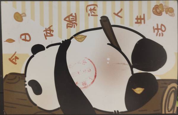 明信片照片