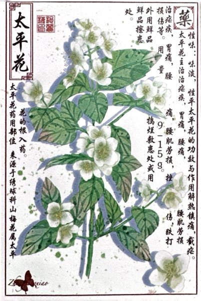 明信片照片