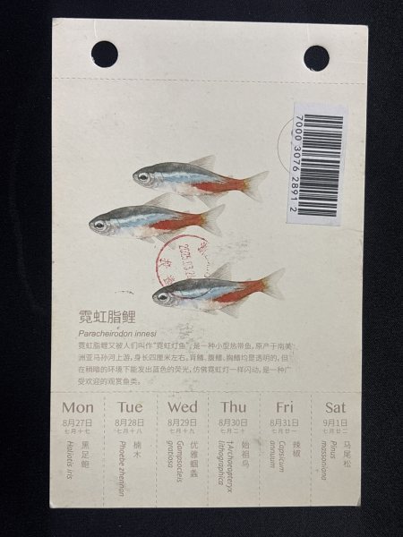 明信片照片