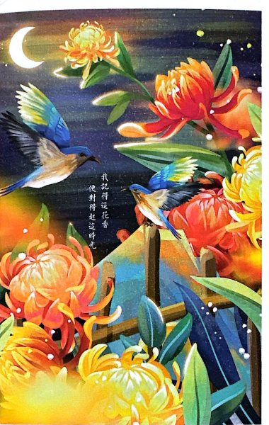 明信片照片