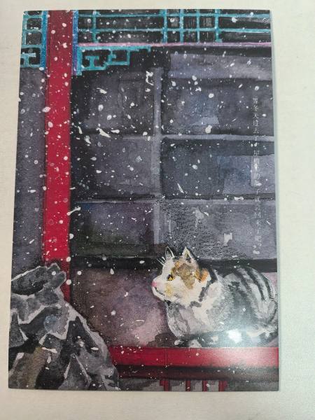 明信片照片