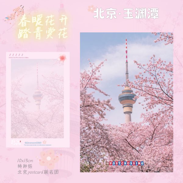 明信片照片