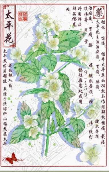 明信片照片