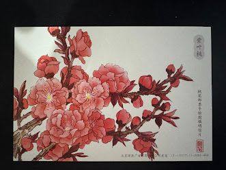 明信片照片