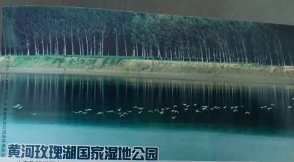 明信片照片