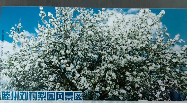 明信片照片