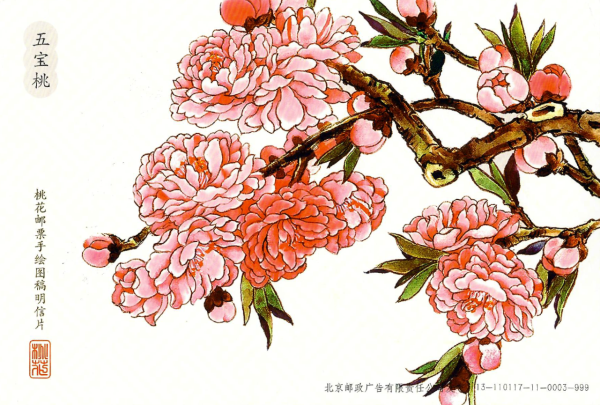 明信片照片