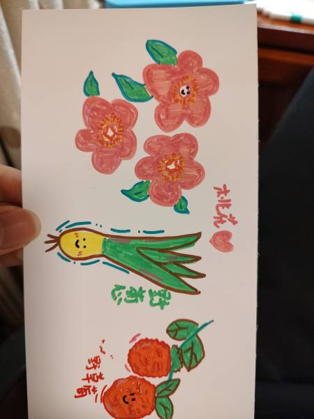 明信片照片