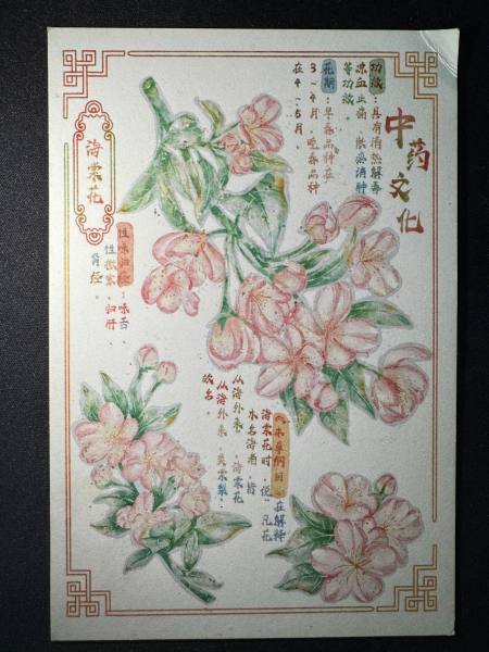 明信片照片