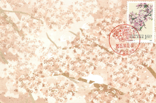 明信片照片