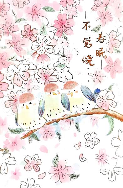 明信片照片