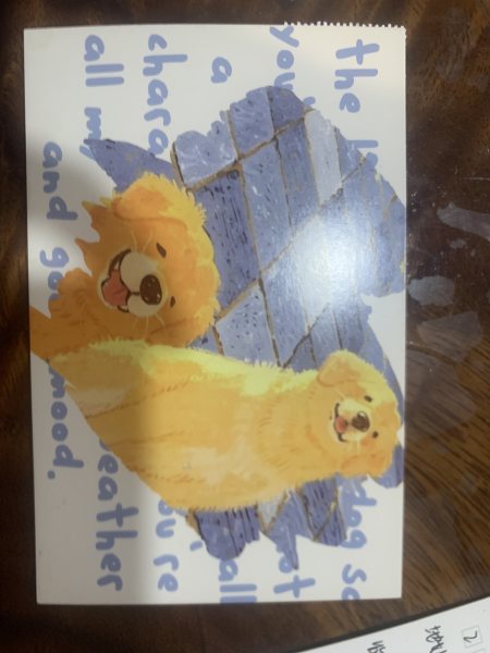 明信片照片