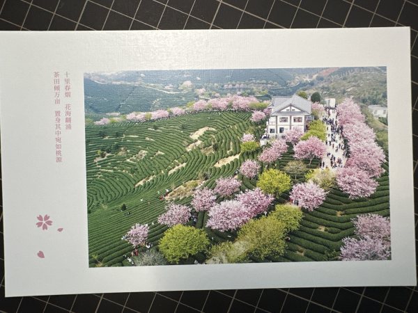 明信片照片