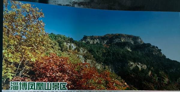 明信片照片