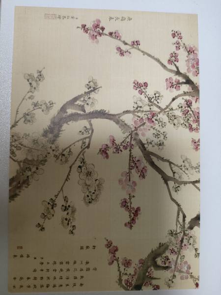 明信片照片