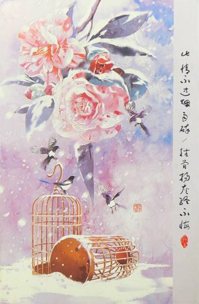 明信片照片