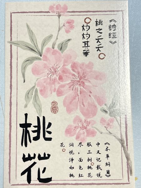 明信片照片