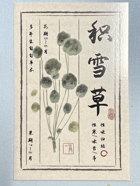 明信片照片
