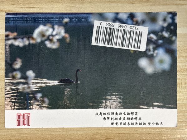 明信片照片