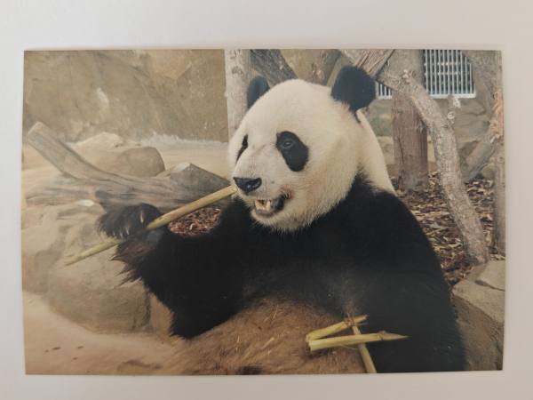 明信片照片